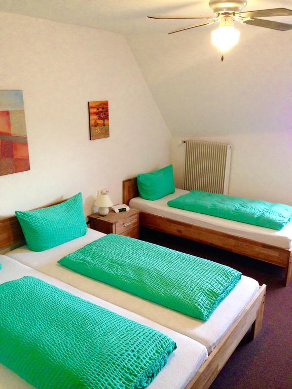 Hotel-Zahringerstube ノイエンビュルク・アム・ライン 部屋 写真